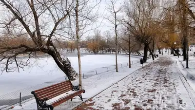 Zakon.kz, фото - Новости Zakon.kz от 01.02.2015 14:58