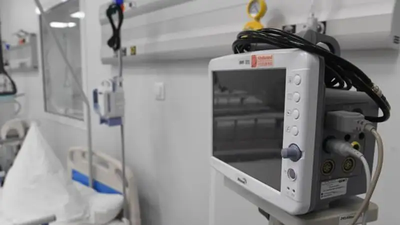 Два человека скончались после укуса клещей в Кызылординской области