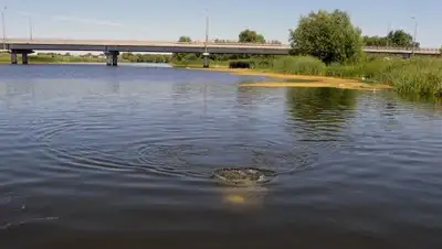 Коммерсант, фото - Новости Zakon.kz от 04.06.2018 15:54