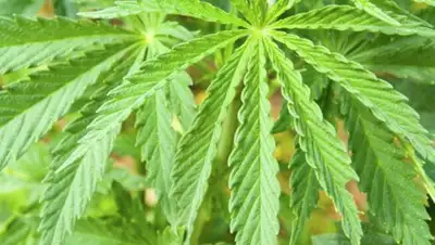 Zakon.kz, фото - Новости Zakon.kz от 28.06.2016 19:00