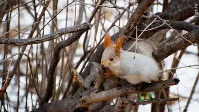 Zakon.kz, фото - Новости Zakon.kz от 30.11.2015 22:32