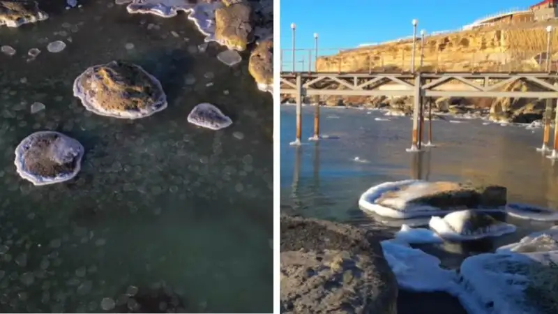 "Холодная красота": Каспий частично заледенел