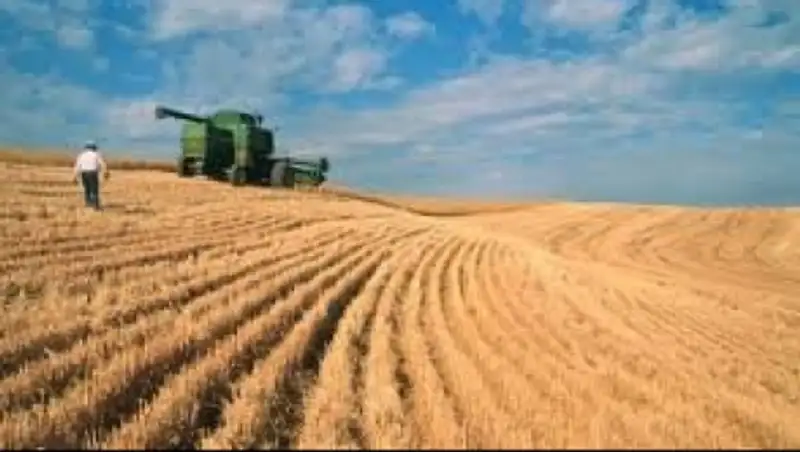 В ВКО реализовано 154 проекта по развитию АПК