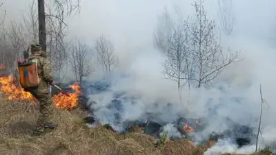 МЧС РК, фото - Новости Zakon.kz от 11.05.2021 23:59