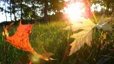 Культура ВРН, фото - Новости Zakon.kz от 06.09.2018 09:14