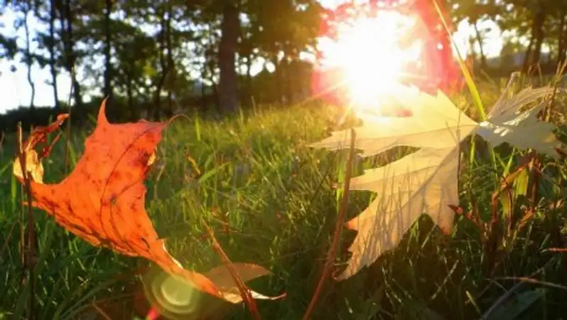 Погода без осадков сохранится 6 сентября в Казахстане