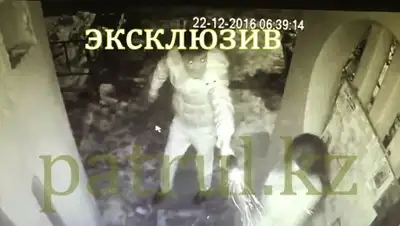 Zakon.kz, фото - Новости Zakon.kz от 25.02.2017 05:07