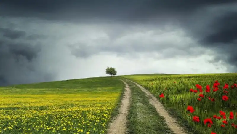 20 августа лишь на юге и западе РК ожидается погода без осадков