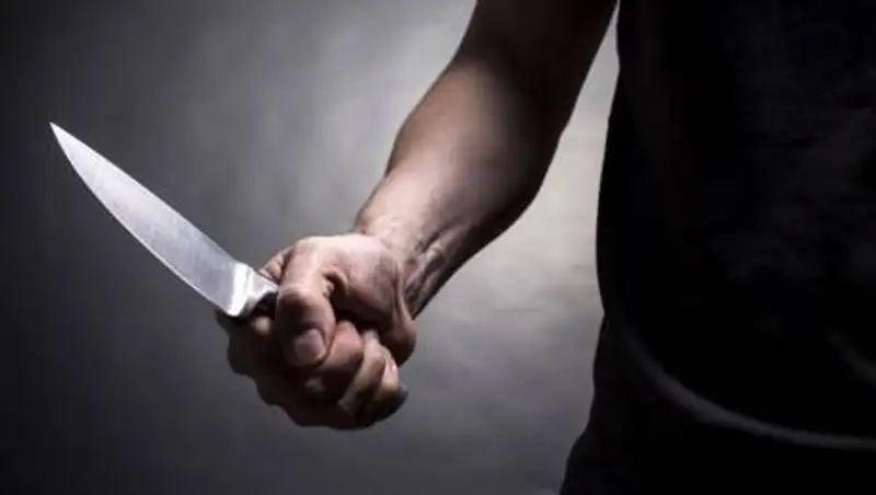 Житель Алматинской области зарезал зятя из-за участка земли