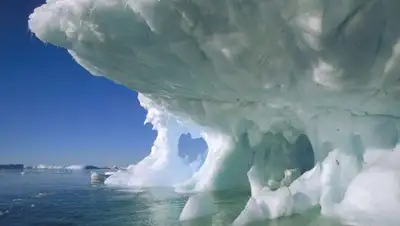 Zakon.kz, фото - Новости Zakon.kz от 07.12.2017 16:04