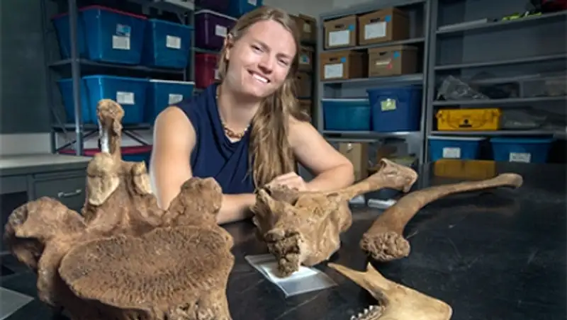 В США обнаружена древнейшая на континенте стоянка человека