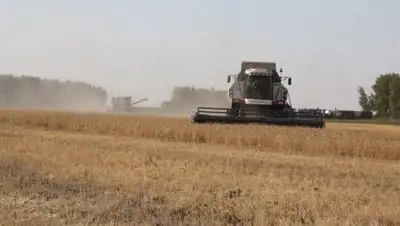 Zakon.kz, фото - Новости Zakon.kz от 10.10.2016 00:27