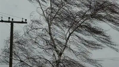 Zakon.kz, фото - Новости Zakon.kz от 18.10.2017 17:38