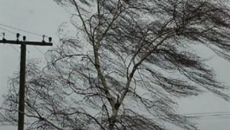 Сильный ветер и гололед ожидается в трех областях Казахстана