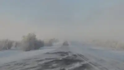 Zakon.kz, фото - Новости Zakon.kz от 19.10.2016 18:38