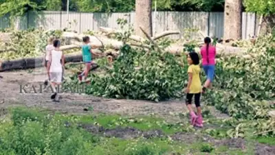 Zakon.kz, фото - Новости Zakon.kz от 21.06.2014 22:20