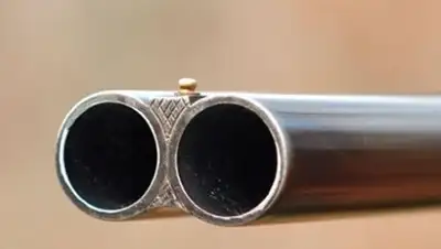 Охотники.ру, фото - Новости Zakon.kz от 22.02.2018 18:05