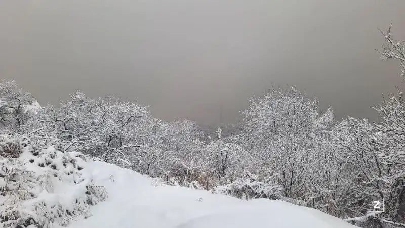 Синоптики рассказали, какой будет погода в Казахстане 10 февраля
