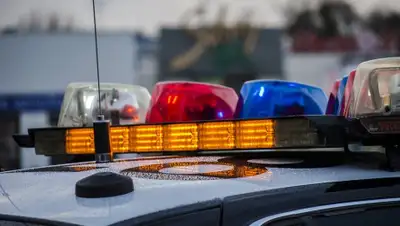 Pixabay, фото - Новости Zakon.kz от 09.11.2019 23:40