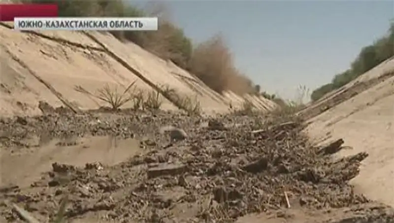 В ЮКО урожай может сгореть из-за проблем с поливной водой
