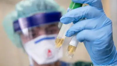 DW, фото - Новости Zakon.kz от 04.08.2020 08:01