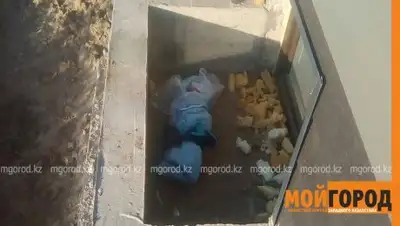 Zakon.kz, фото - Новости Zakon.kz от 14.12.2017 11:16