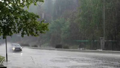 sochistream.ru, фото - Новости Zakon.kz от 20.05.2019 12:38