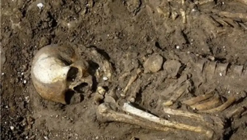 Скелет человека нашли на субботнике врачи Шахтинска