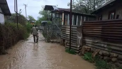 Zakon.kz, фото - Новости Zakon.kz от 28.04.2017 21:56