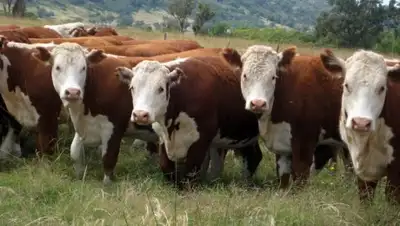 Zakon.kz, фото - Новости Zakon.kz от 31.10.2016 21:52