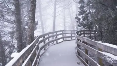 Zakon.kz, фото - Новости Zakon.kz от 18.07.2017 13:42