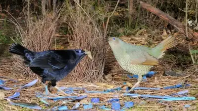 Zakon.kz, фото - Новости Zakon.kz от 14.02.2016 00:22