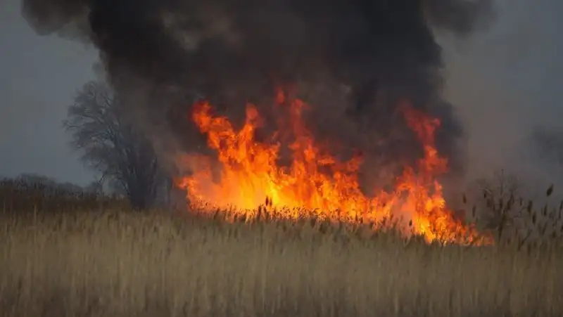 В трех районах Павлодарской области разгорелся степной пожар