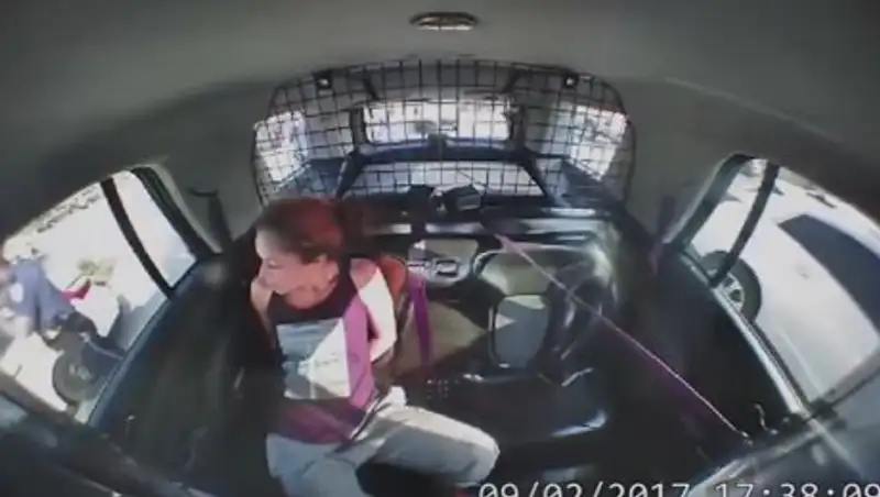 В США девушка освободилась от наручников и угнала полицейское авто