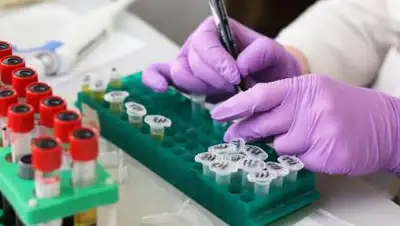 pixabay.com, фото - Новости Zakon.kz от 14.08.2021 08:01