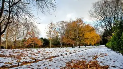 Today.kz, фото - Новости Zakon.kz от 03.11.2018 10:45