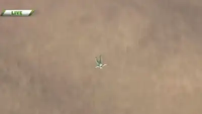 Zakon.kz, фото - Новости Zakon.kz от 31.07.2016 16:56