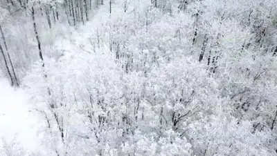 24kz, фото - Новости Zakon.kz от 10.01.2021 06:35