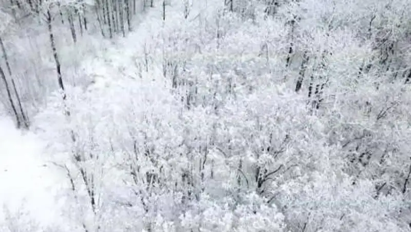 Какая погода ожидает Казахстанцев в день выборов