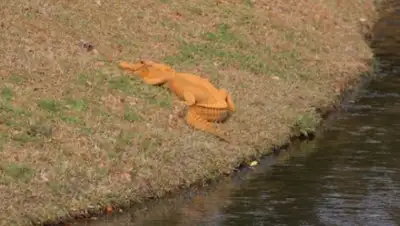 Zakon.kz, фото - Новости Zakon.kz от 10.02.2017 23:48