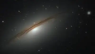 Zakon.kz, фото - Новости Zakon.kz от 15.10.2017 07:40