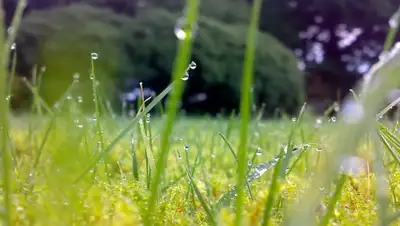 Zakon.kz, фото - Новости Zakon.kz от 13.07.2017 12:00