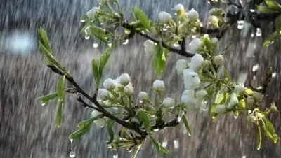 Zakon.kz, фото - Новости Zakon.kz от 20.04.2017 12:00