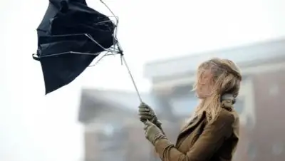 Zakon.kz, фото - Новости Zakon.kz от 23.10.2017 15:06