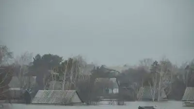 Zakon.kz, фото - Новости Zakon.kz от 28.04.2014 15:30