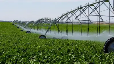 Zakon.kz, фото - Новости Zakon.kz от 18.10.2016 23:14