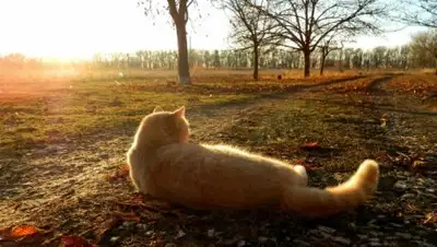 Zakon.kz, фото - Новости Zakon.kz от 09.10.2017 06:00