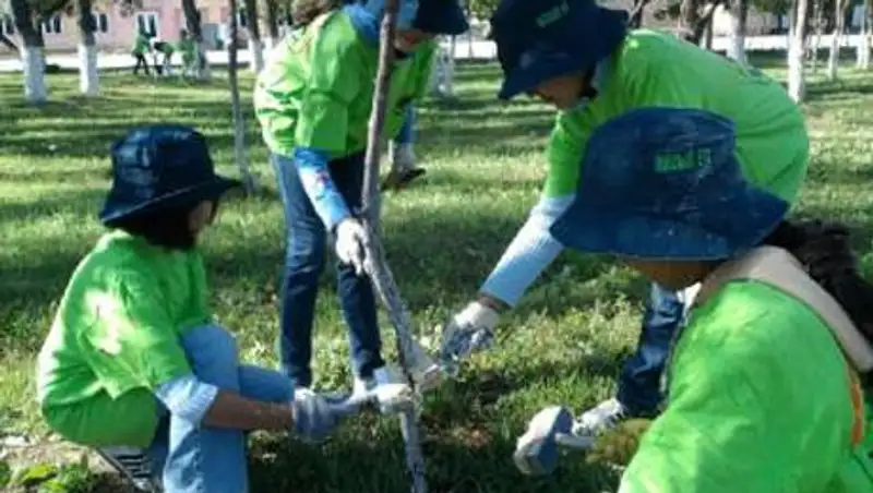 В Костанайской области создадут штаб молодежных трудотрядов