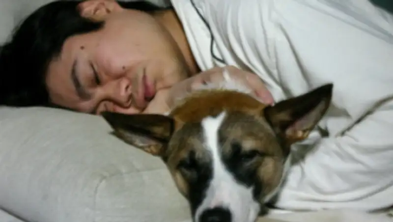 Ученые назвали компоненты, вызывающие «сонный синдром» у жителей поселка Калачи