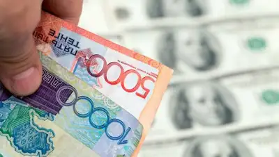 Zakon.kz, фото - Новости Zakon.kz от 31.01.2017 17:23